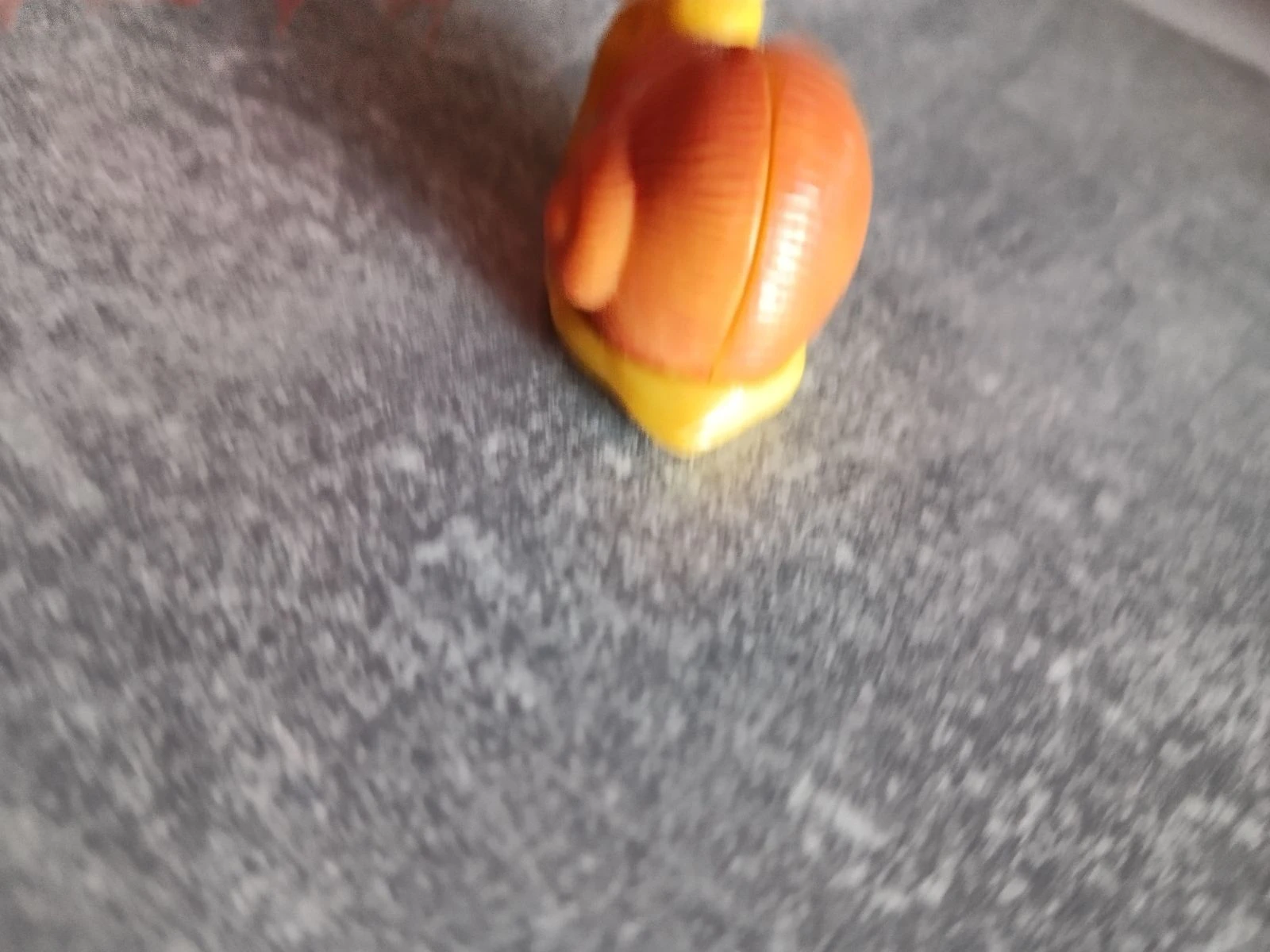 Moving snail Kinder 90s – photo 6